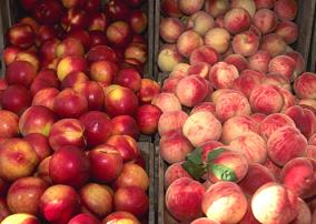 Fresh Peaches