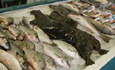 Seafood