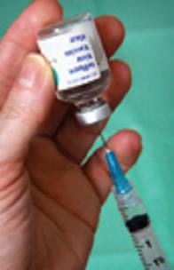 Vaccine and Needle