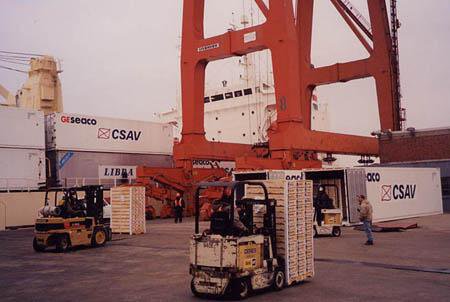 Container Stuffing