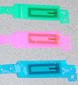 Wrist Band Sample