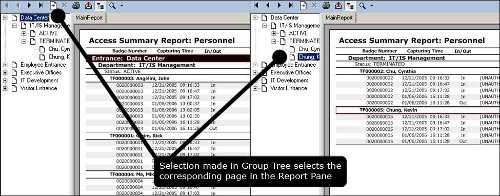 Access Summary Report Screenshot