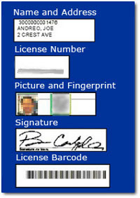 Registration Database Info