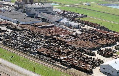 Chemical Drums in Yard
