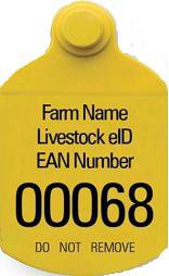 Ear Tag